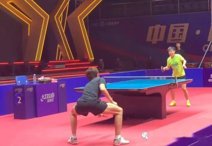 员发挥亮眼 员发挥亮眼