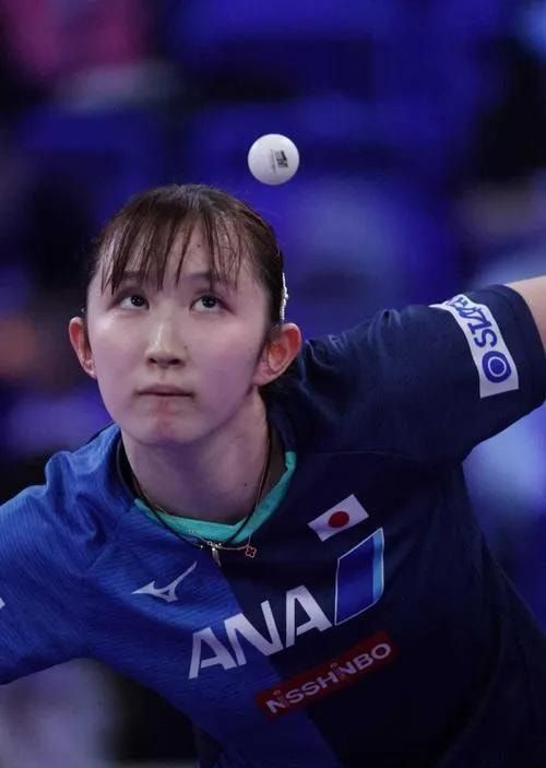 供了独特的 供了独特的