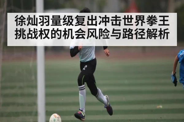 徐灿羽量级复出冲击世界拳王挑战权的机会风险与路径解析